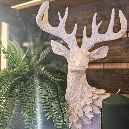 아파트 Familien-waldzauber-chalet Naehe Saas-fee 사스그룬트